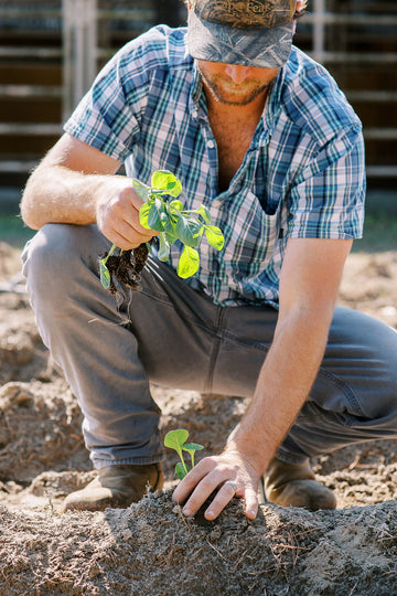 WHAT IS FARM to NEED?
