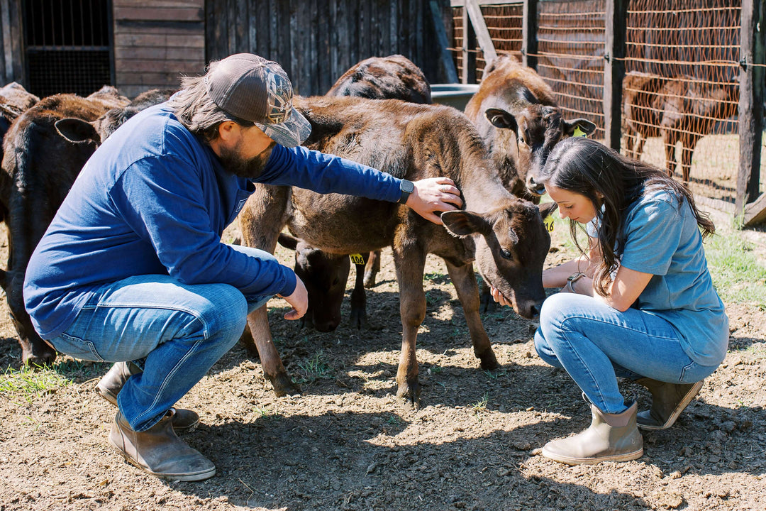 How We Raise Our Pasture-Raised Animals