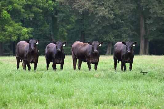 The Wilders Difference: What Sets Our Farm Apart