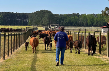 How to Celebrate National Agriculture Day