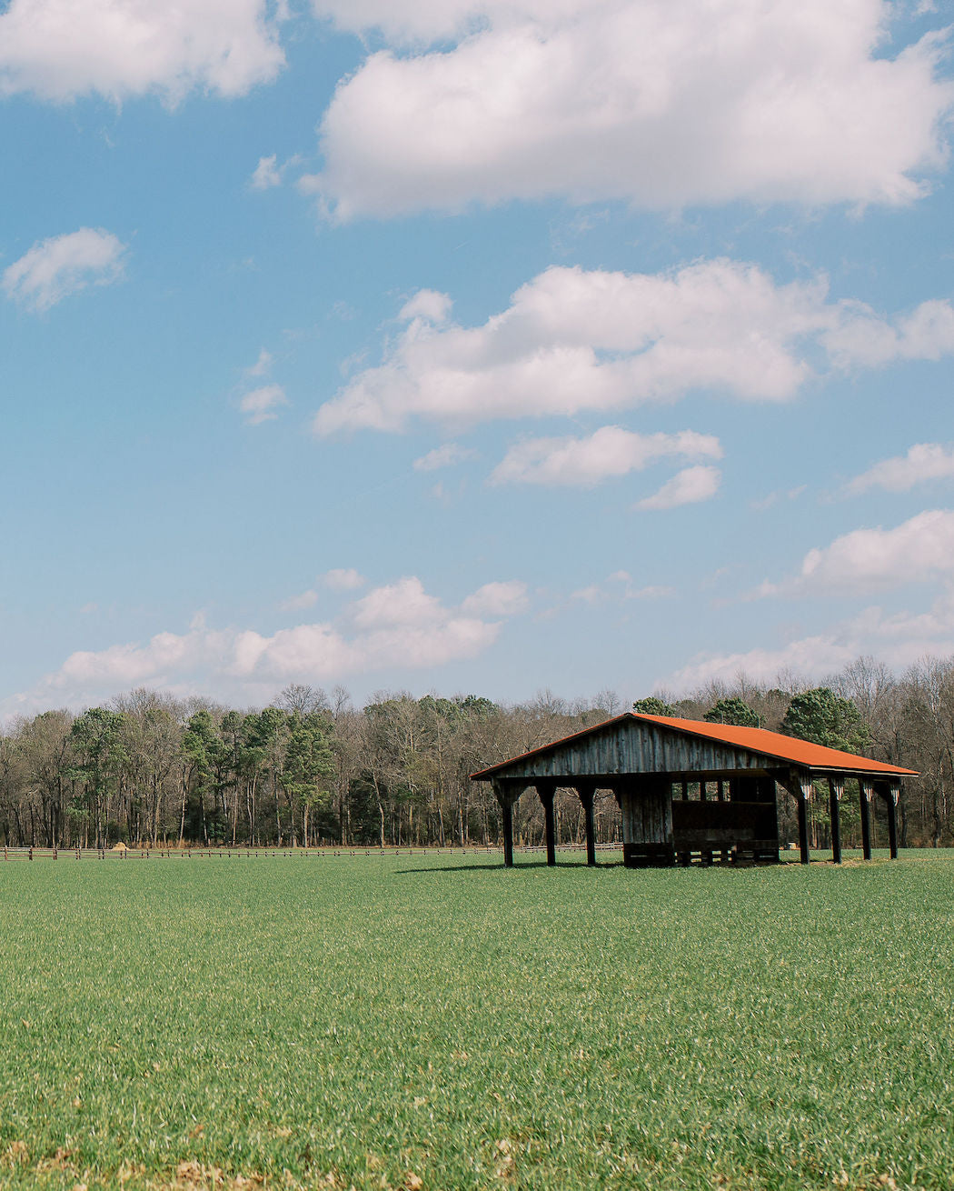 The Farm | Local Meat Farm in North Carolina | Wilders